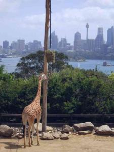 Sydney