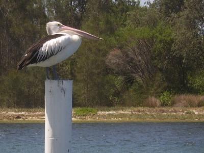 Port Stephens