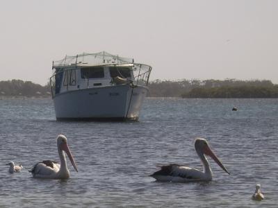 Port Stephens