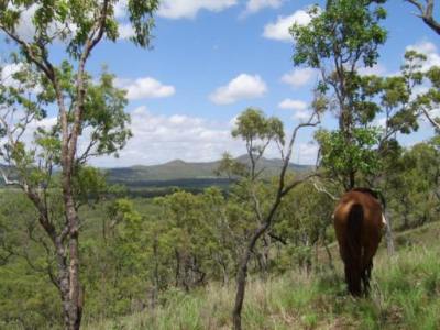 Far North Queensland