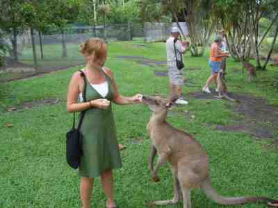Far North Queensland