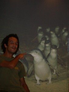 Phillip Island