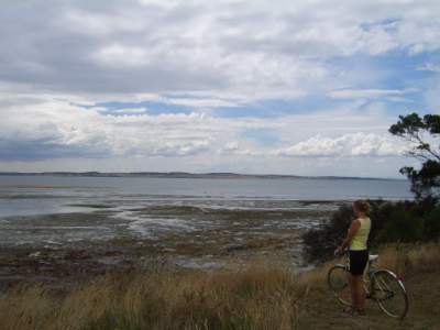 Phillip Island