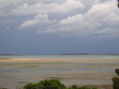 Phillip Island