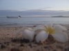Nacula Island