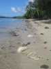Tavewa Island