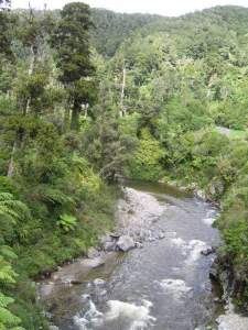 Kaitoke Regional Park