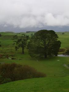 Hobbiton