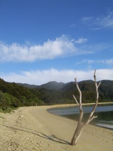 Abel Tasman National Park