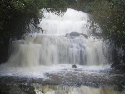 Purakanui Falls