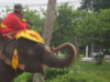 Ayuthaya, Thailand
