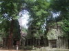Tempels van Angkor, Cambodja