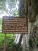 Pnom Penh, Cambodja