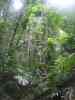 Taman Negara, Maleisie