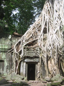 Tempels van Angkor, Cambodja