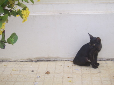 Pnom Penh, Cambodja