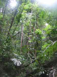 Taman Negara, Maleisie